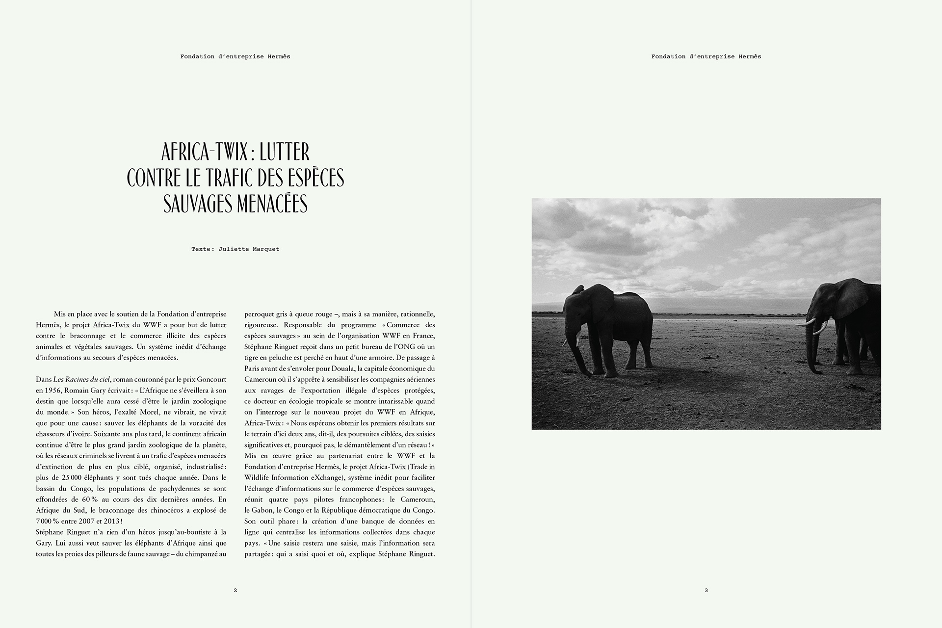 Le Monde d'Hermès, Hermès, Benjamin Grillon, Olivier Wicker, Caroline Géraud, Africa Twix, WWF, Juliette Marquet