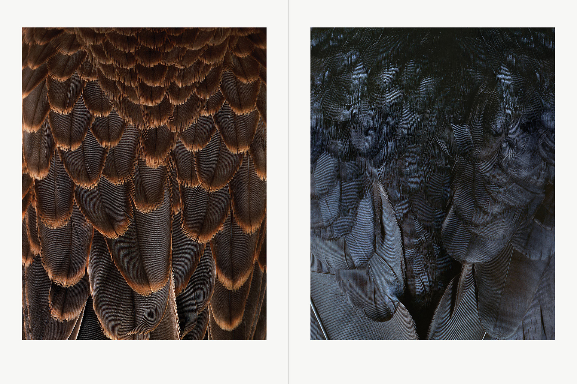 Le Monde d'Hermès, Hermès, Benjamin Grillon, Olivier Wicker, Caroline Géraud, Coppi Barbieri, Art Dept, Tristan Godefroy, Ilaria Miceli, Sophie Boucher-Delesalle