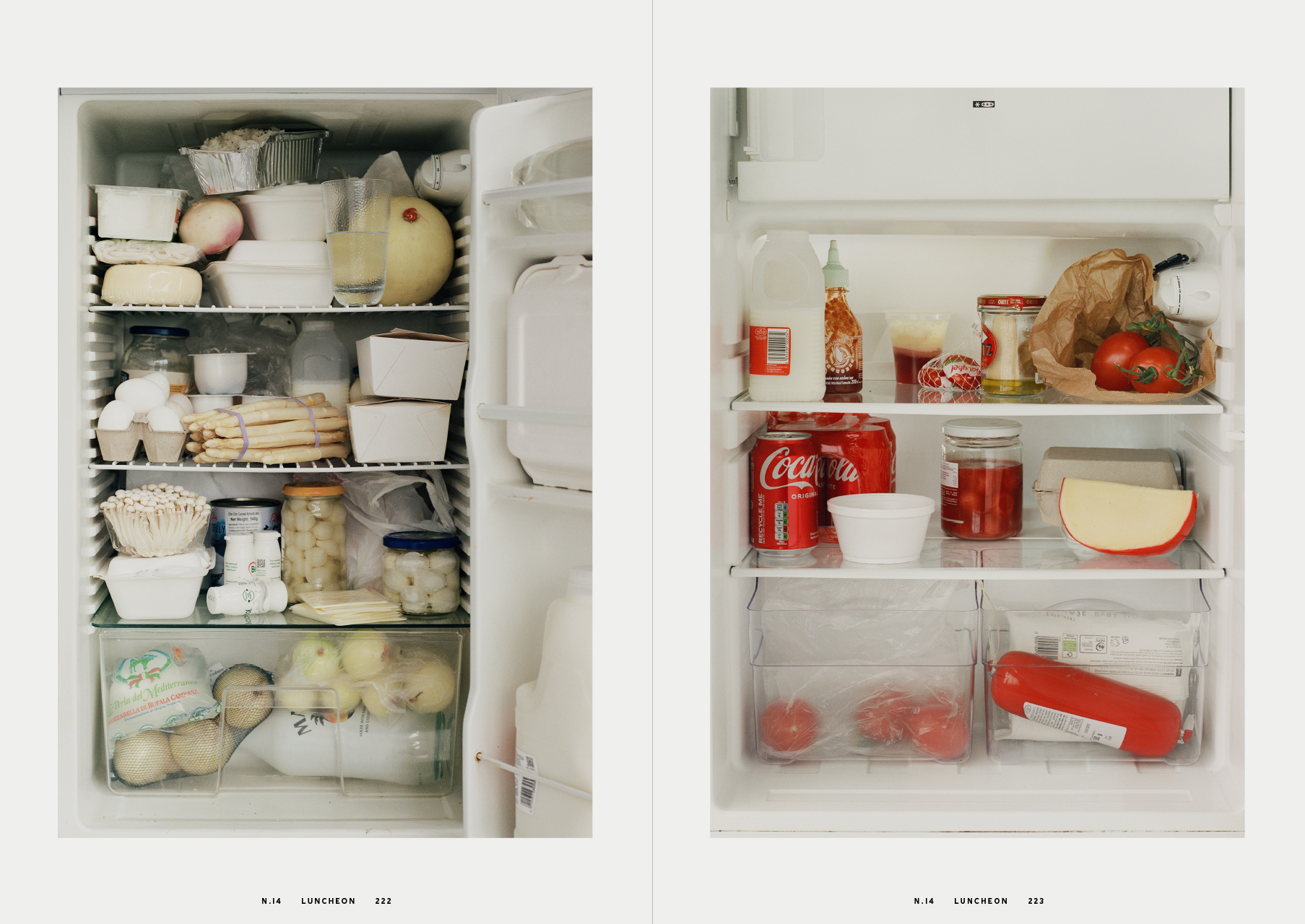 Luncheon, Sophie Calle, Régime Chromatique, Chromatic Diet, Paul Auster, Leviathan, Perrotin, Benjamin Grillon, Art Direction, Creative Direction, Deo Suveera, Pamela Dimitrov, Webber, Hella Keck, Frances von Hofmannsthal, Art